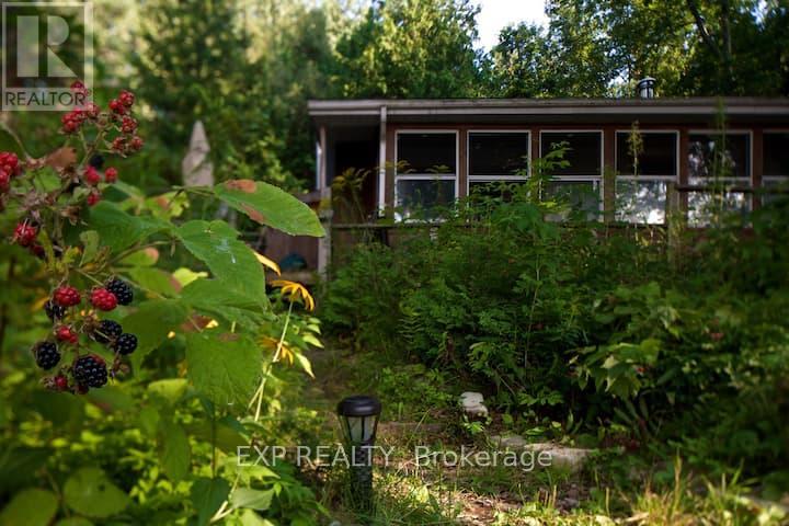 1119 County Rd 7 Road, Prince Edward County, Ontario  K0K 2T0 - Photo 6 - X12204352