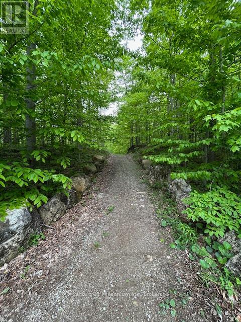 204495 Highway 26, Meaford, Ontario  N4K 5W4 - Photo 43 - X12186605