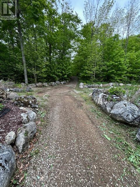 204495 Highway 26, Meaford, Ontario  N4K 5W4 - Photo 45 - X12186605