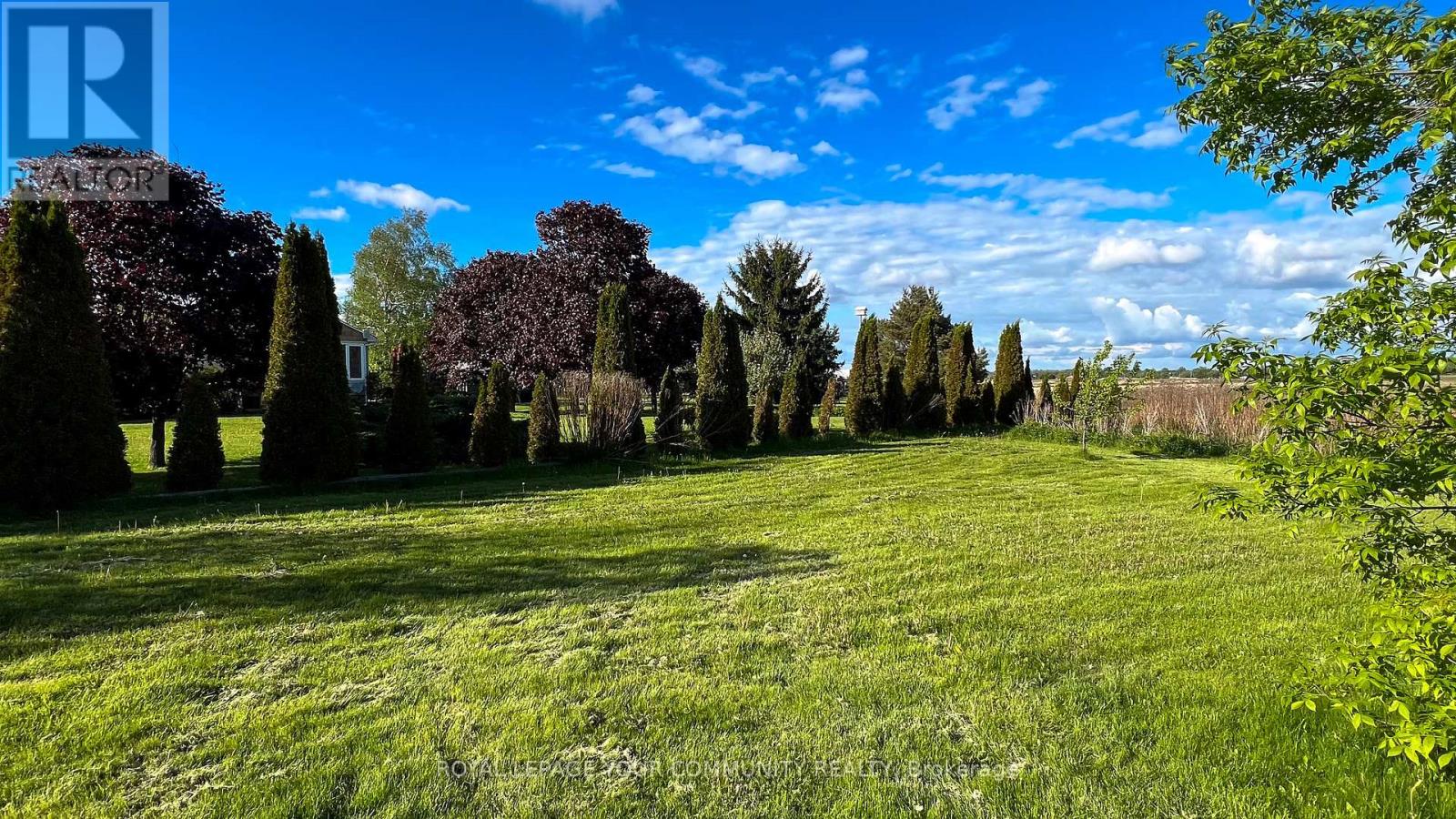303 Morris Road, Bradford West Gwillimbury (Bradford), Ontario  L3Z 3H4 - Photo 50 - N12204401