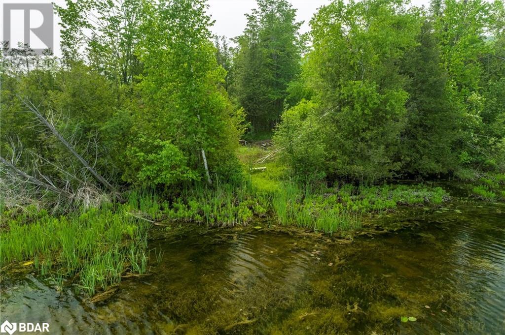 22 Helen Drive, Omemee, Ontario  K0L 2W0 - Photo 37 - 40738362
