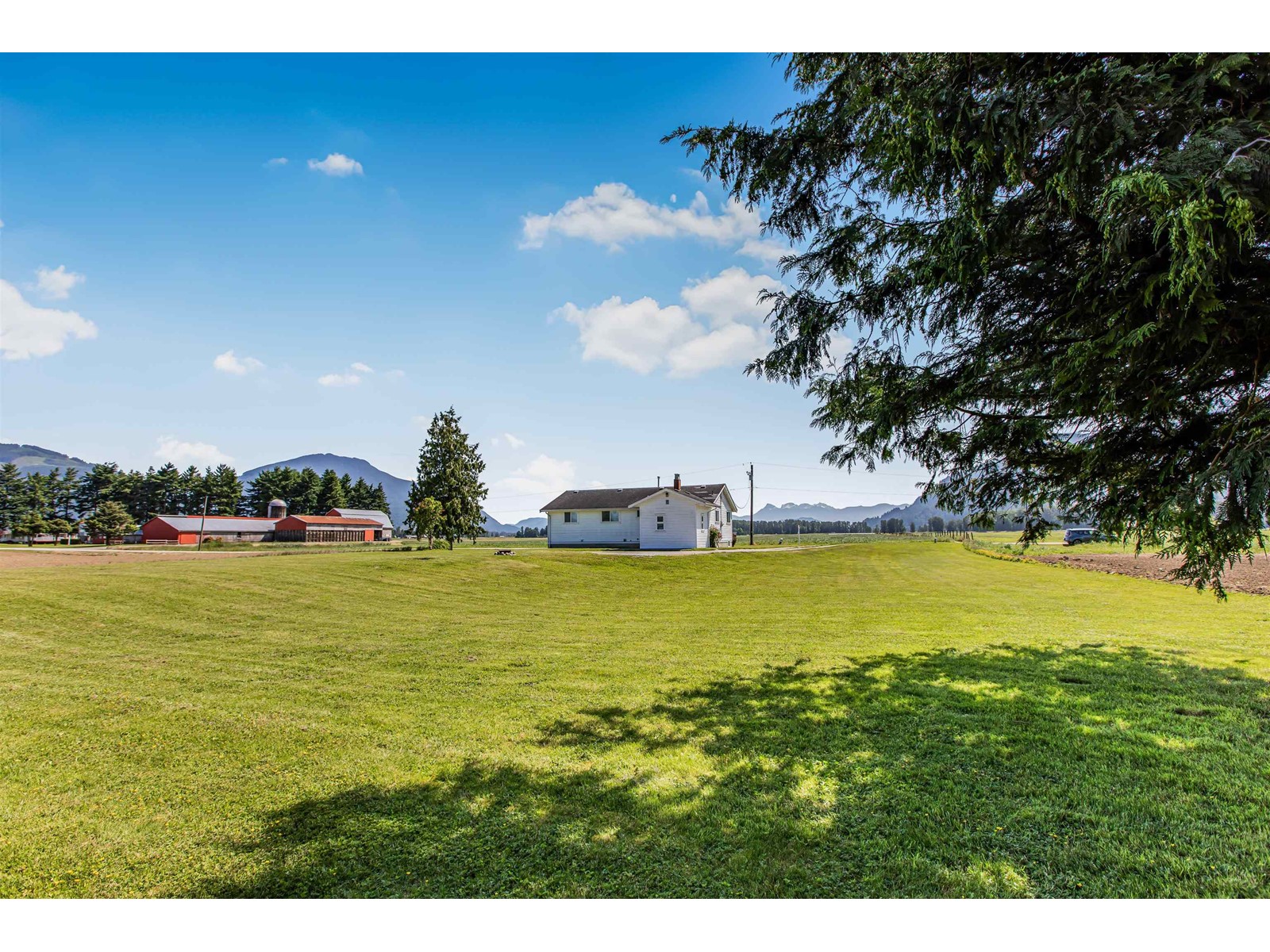7735 Newton Road, Mission, British Columbia  V0M 1H0 - Photo 4 - R2967360
