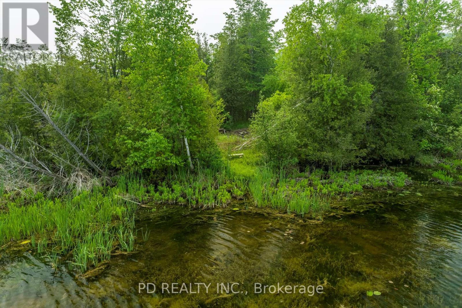 22 Helen Drive, Kawartha Lakes, Ontario  K0L 2W0 - Photo 40 - X12197614