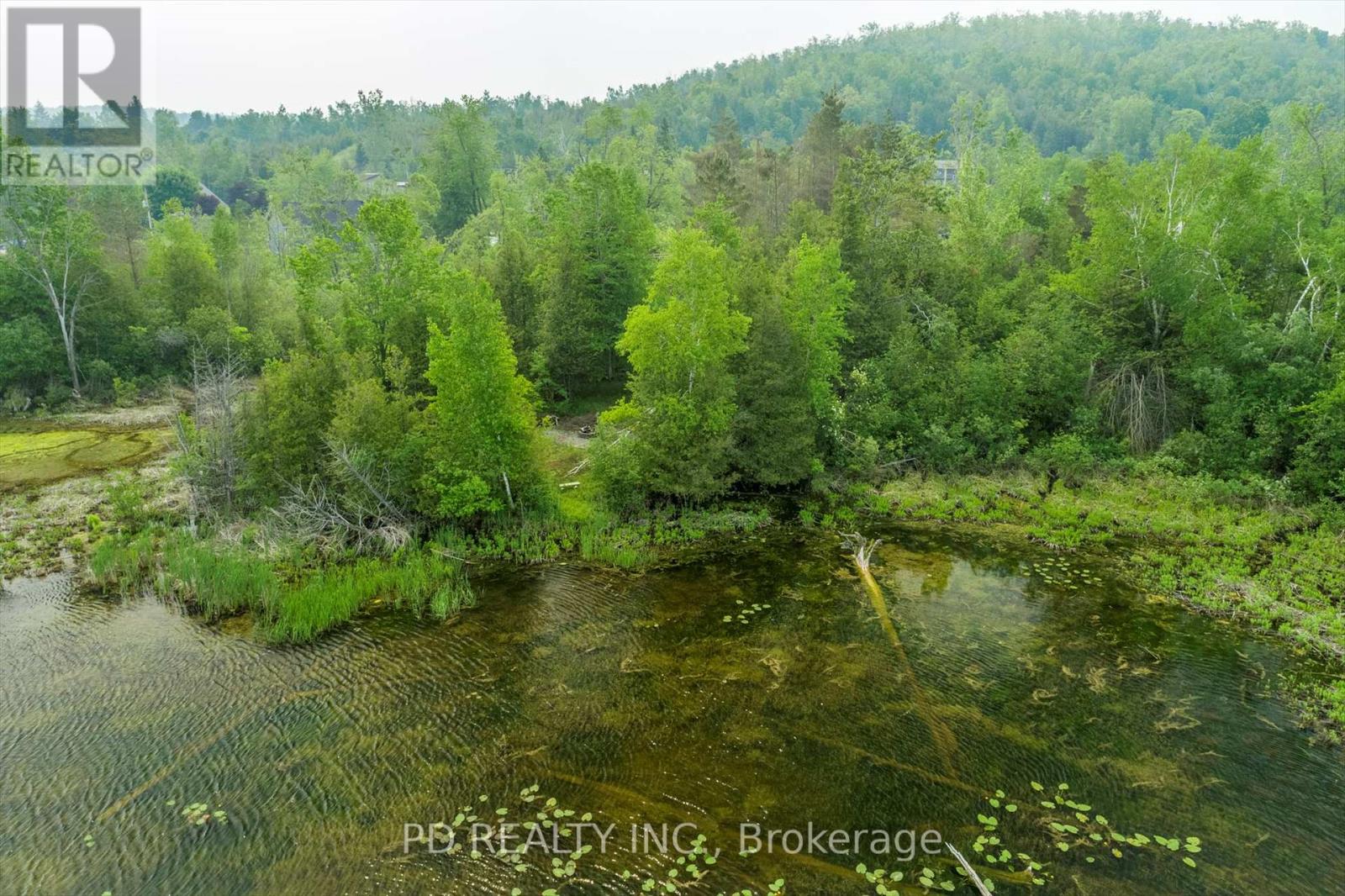 22 Helen Drive, Kawartha Lakes, Ontario  K0L 2W0 - Photo 36 - X12197614