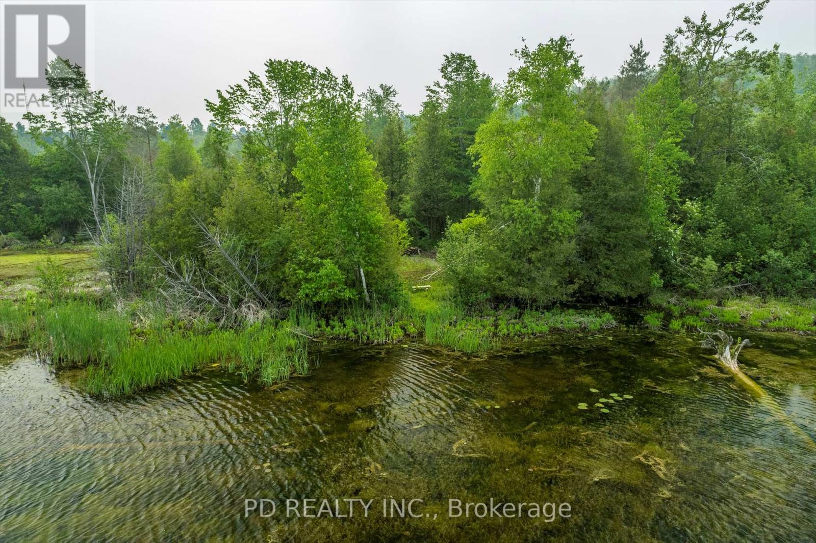 22 Helen Drive, Kawartha Lakes, Ontario  K0L 2W0 - Photo 37 - X12197614