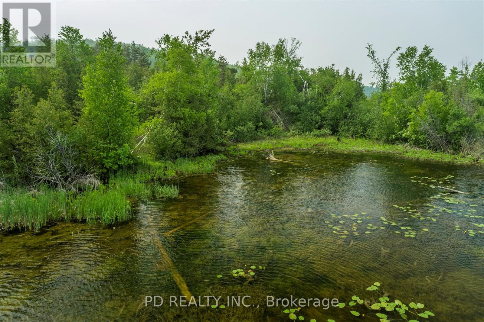 22 Helen Drive, Kawartha Lakes, Ontario  K0L 2W0 - Photo 39 - X12197614