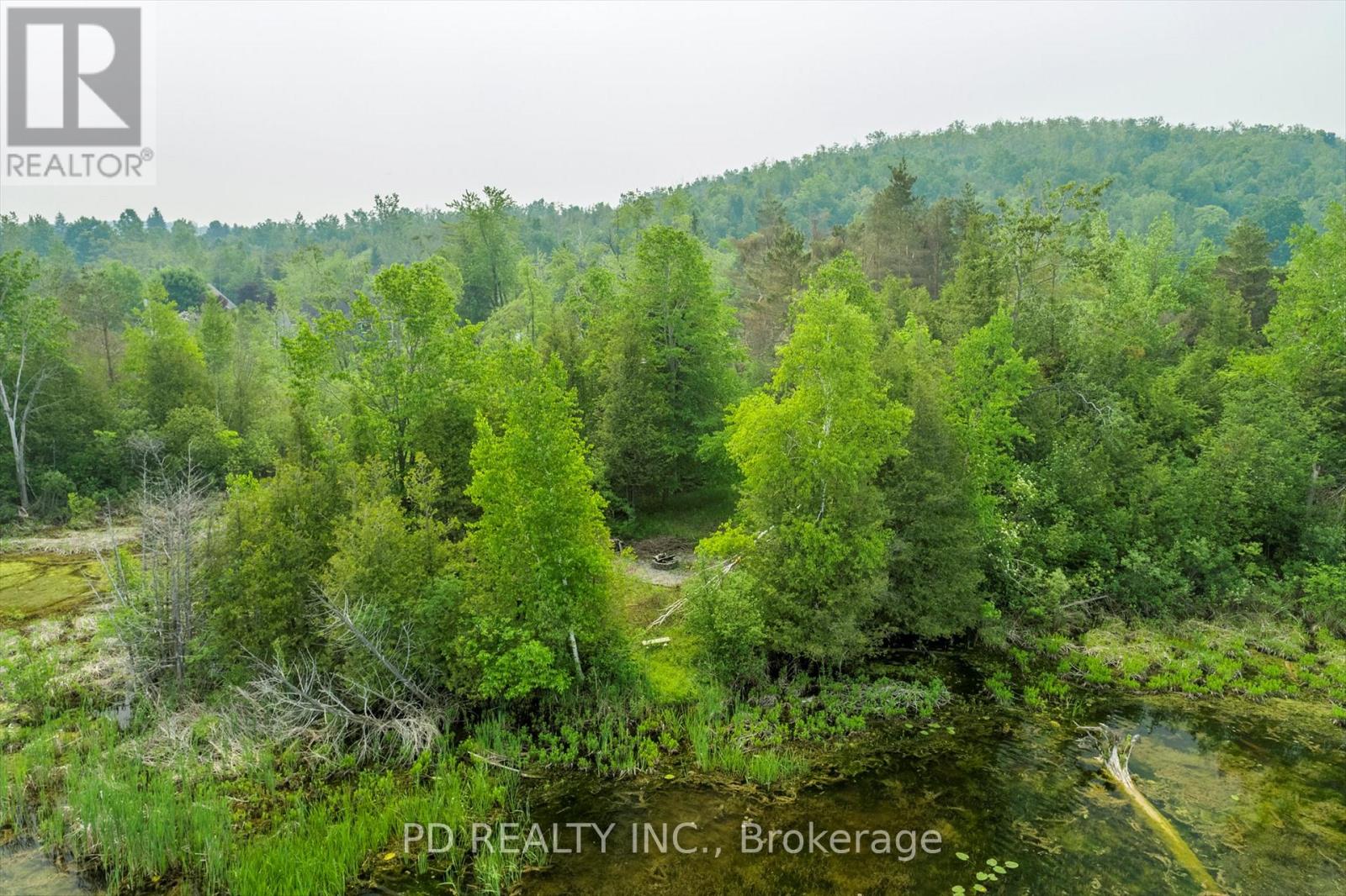 22 Helen Drive, Kawartha Lakes, Ontario  K0L 2W0 - Photo 41 - X12197614