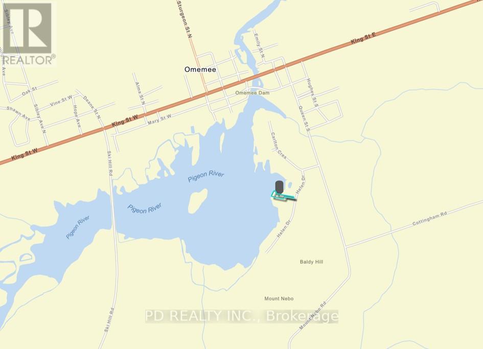 22 Helen Drive, Kawartha Lakes, Ontario  K0L 2W0 - Photo 43 - X12197614