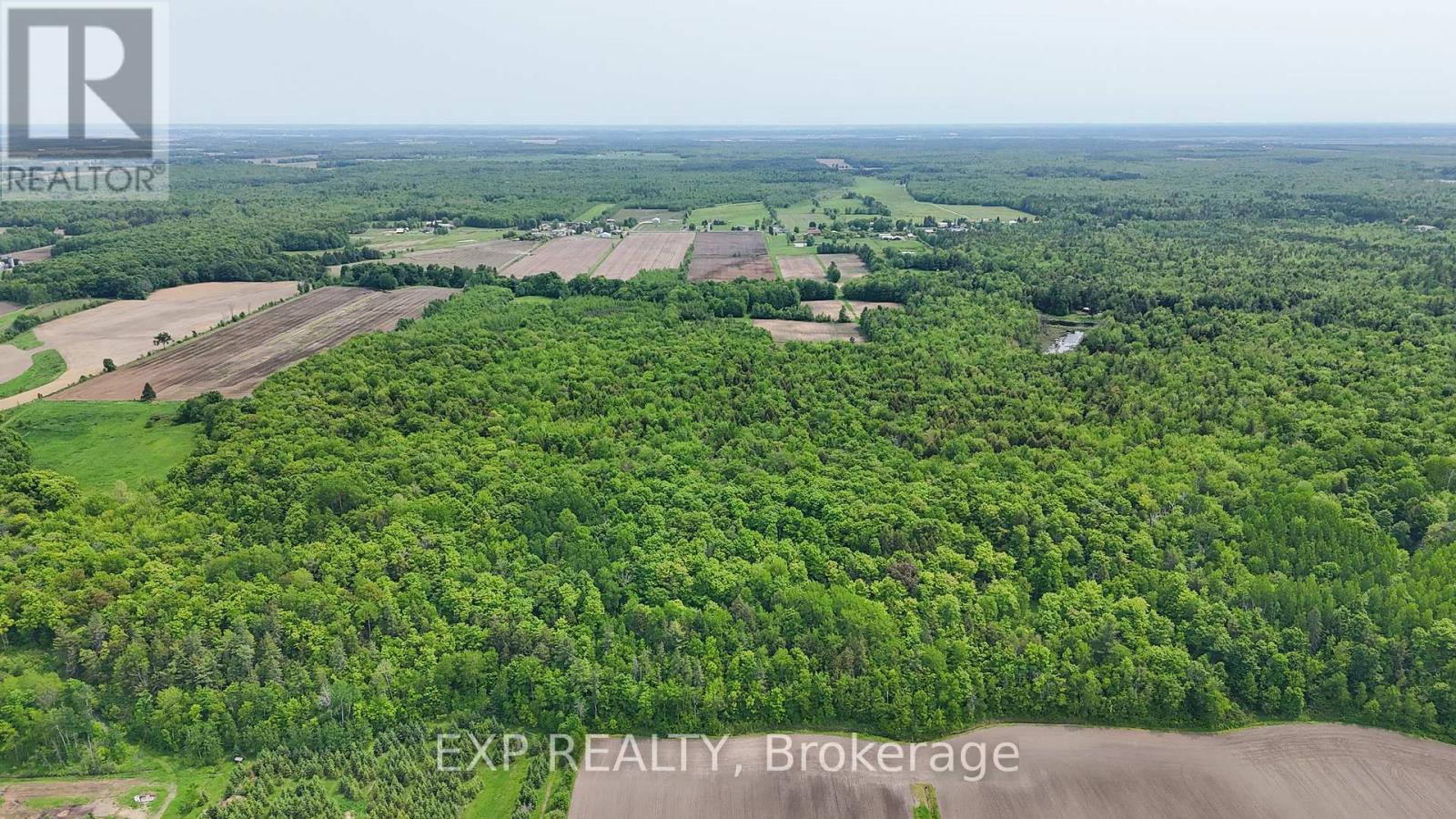00 Concession 3 Road, Alfred And Plantagenet, Ontario  K0B 1L0 - Photo 13 - X12180317