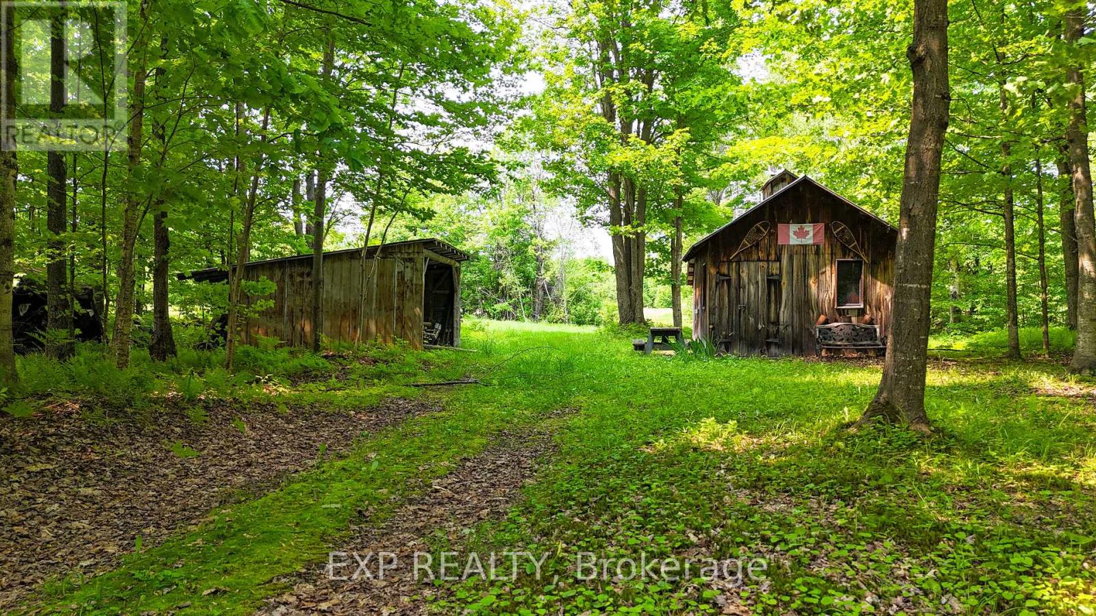 00 Concession 3 Road, Alfred And Plantagenet, Ontario  K0B 1L0 - Photo 7 - X12180317