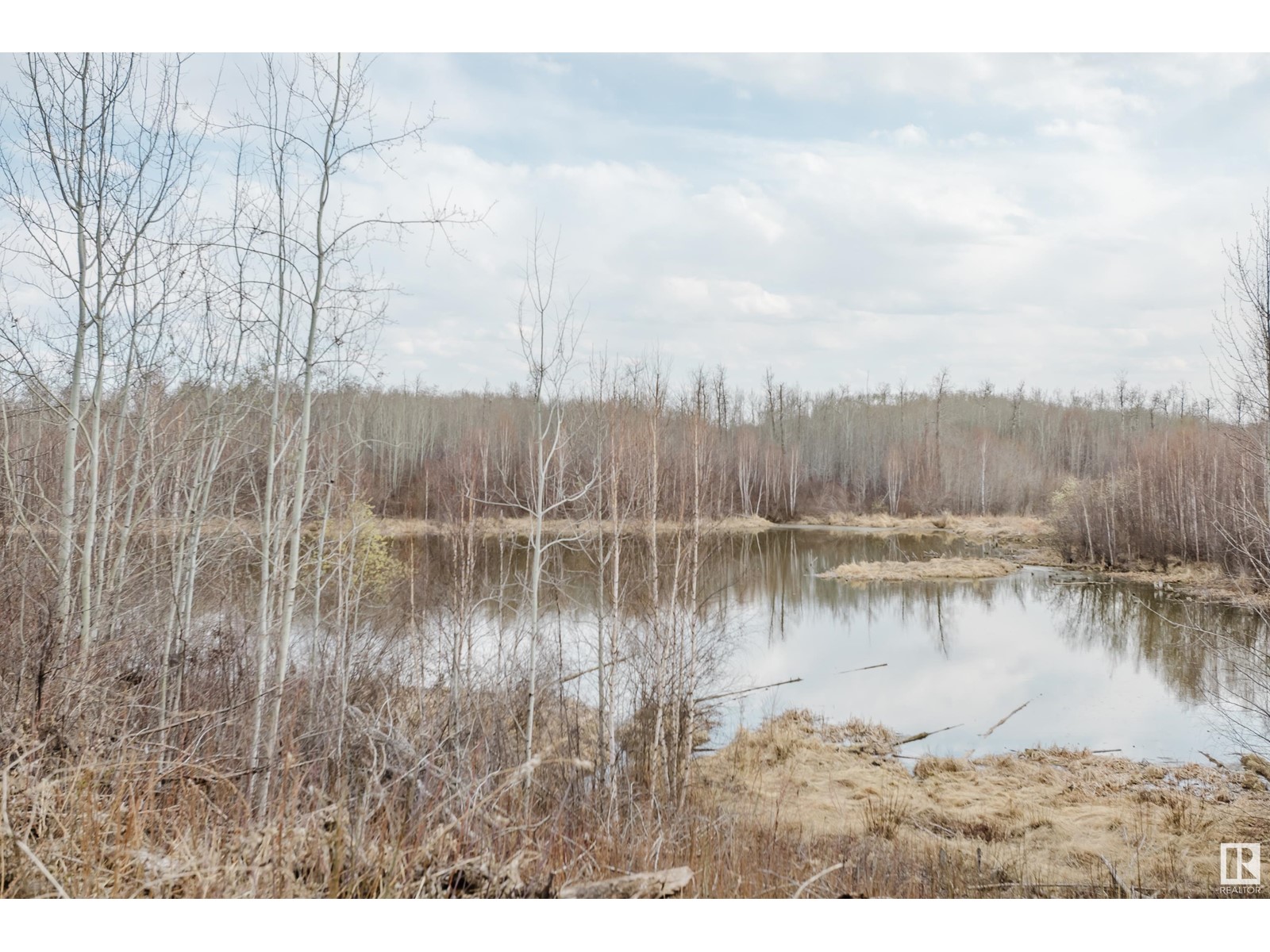 52210 192 Rd Nw, Rural Beaver County, Alberta  T0C 4J5 - Photo 55 - E4433363