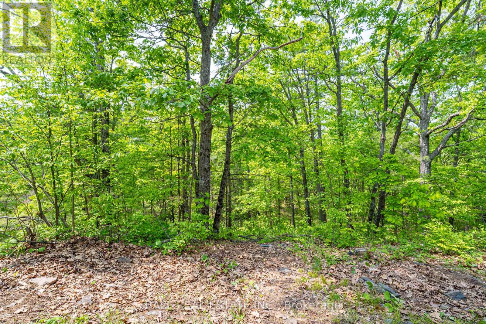 1 Cordova Lake-Water Access, Havelock-Belmont-Methuen, Ontario  K0L 1Z0 - Photo 35 - X12200248