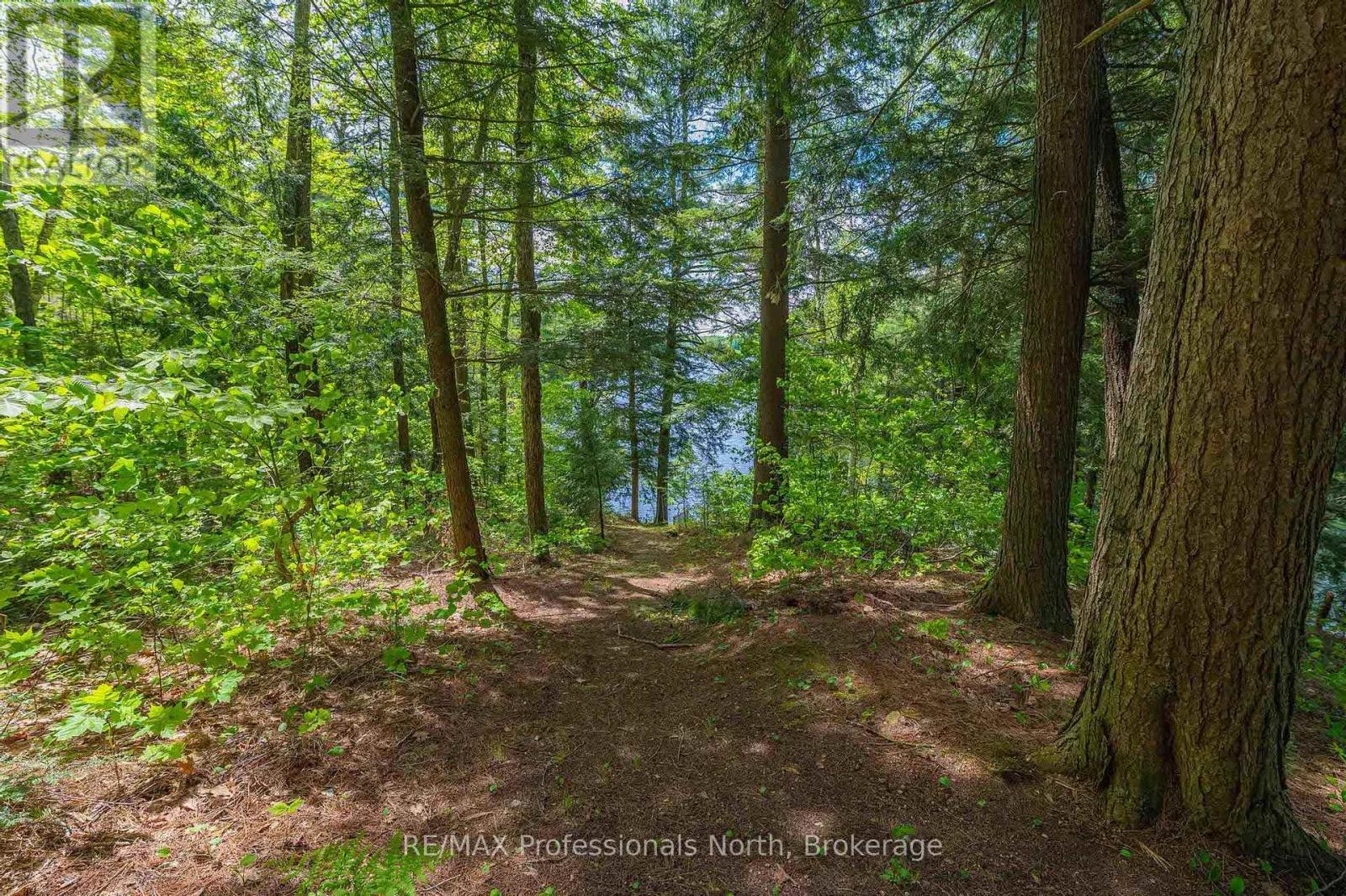 1023 Maiden Trail, Minden Hills (Anson), Ontario  K0M 2K0 - Photo 31 - X12204572