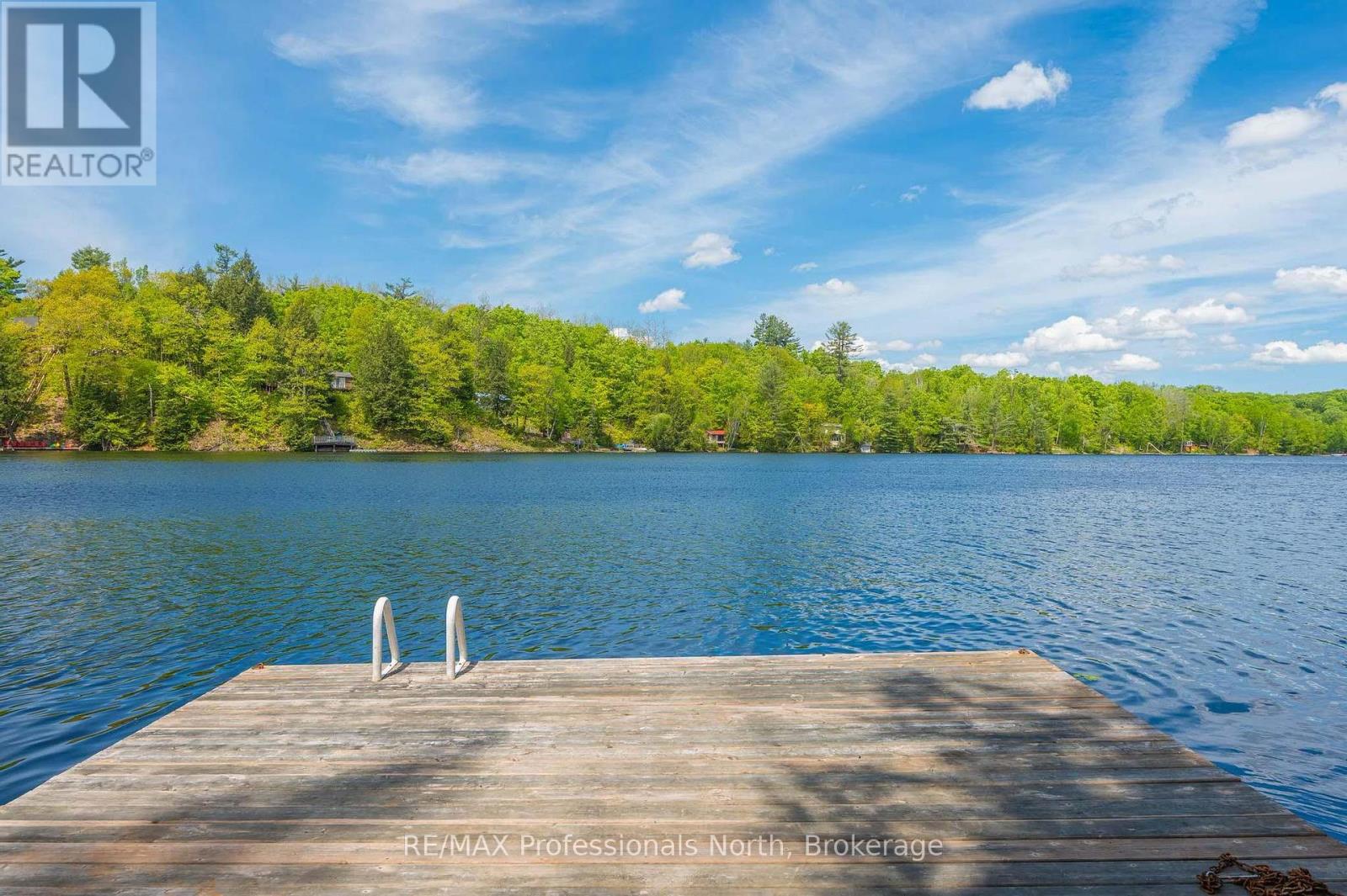 1023 Maiden Trail, Minden Hills (Anson), Ontario  K0M 2K0 - Photo 36 - X12204572