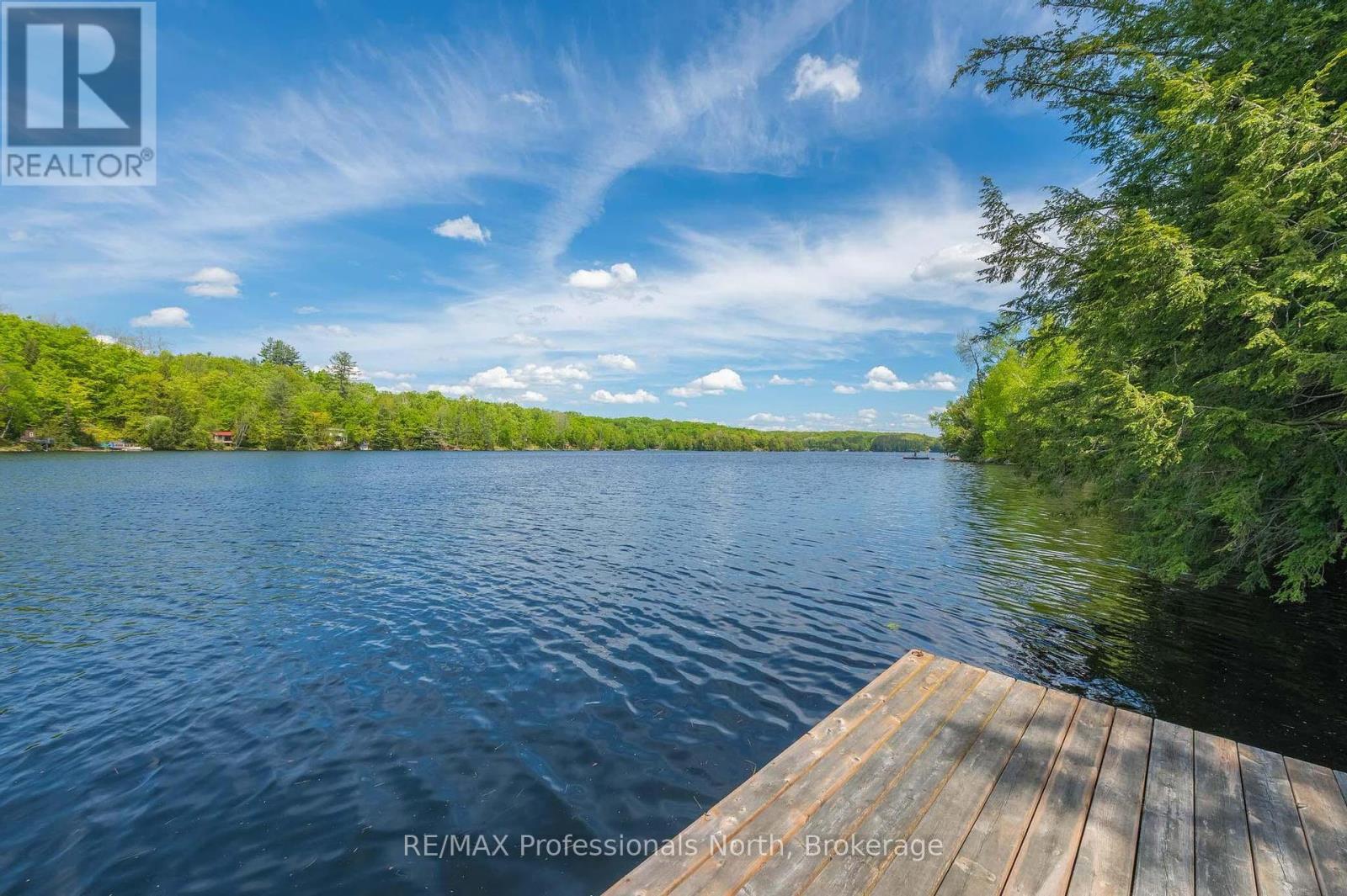 1023 Maiden Trail, Minden Hills (Anson), Ontario  K0M 2K0 - Photo 37 - X12204572