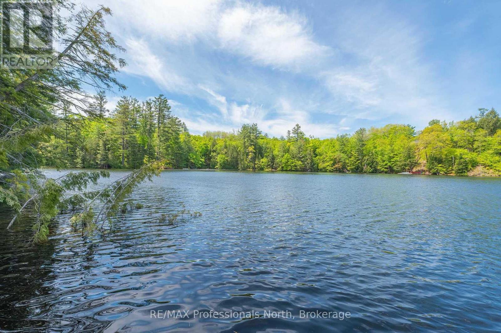 1023 Maiden Trail, Minden Hills (Anson), Ontario  K0M 2K0 - Photo 38 - X12204572