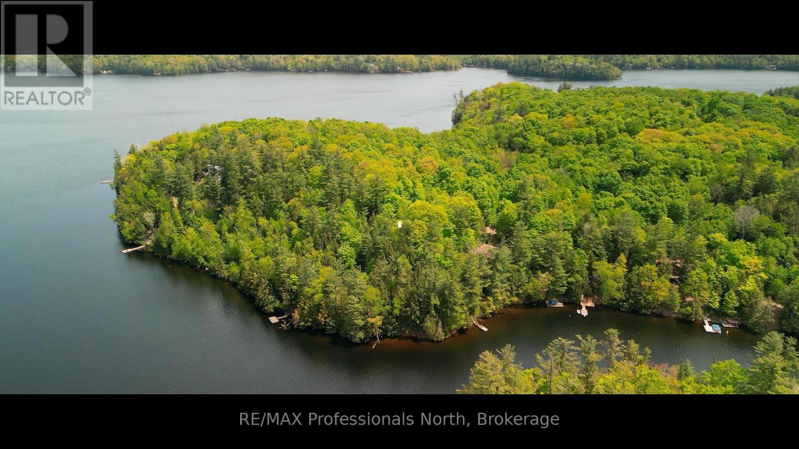 1023 Maiden Trail, Minden Hills, Ontario  K0M 2K0 - Photo 49 - X12204572