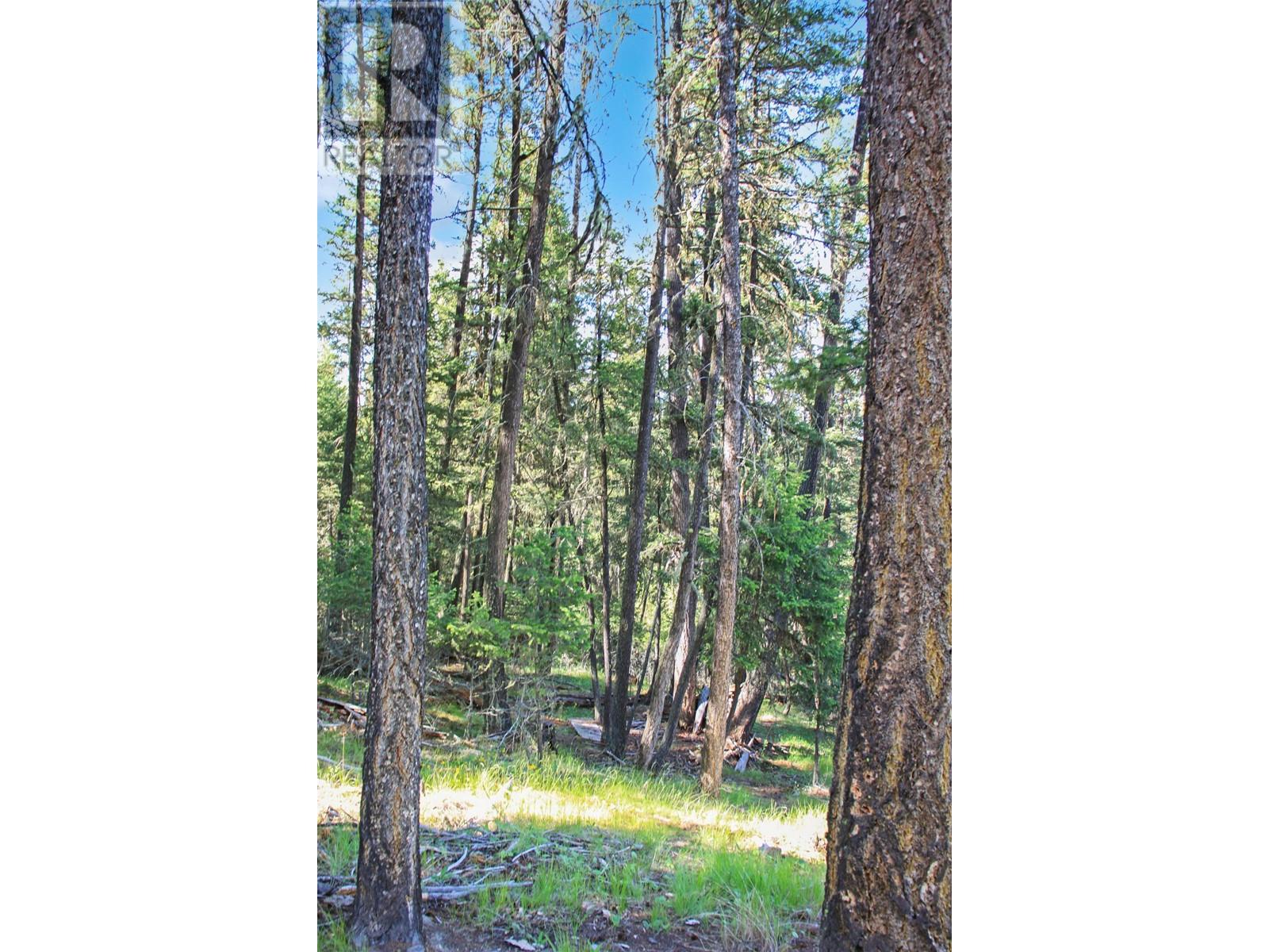 Parcel F Bryan Crescent, 108 Mile Ranch, British Columbia  V0K 2Z0 - Photo 15 - R3012380