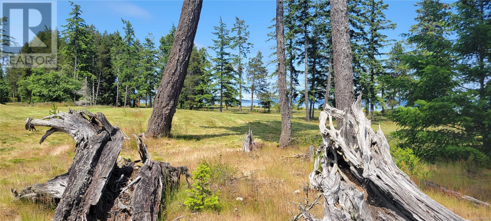 Sl 1 4275 South Island Hwy, Campbell River, British Columbia  V9H 1B7 - Photo 19 - 999618