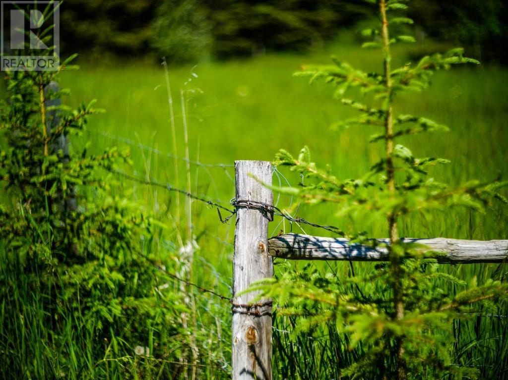 Water Valley, Rural Mountain View County, Alberta  T0M 2E0 - Photo 24 - A2183073