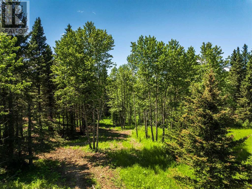 Water Valley, Rural Mountain View County, Alberta  T0M 2E0 - Photo 1 - A2183073