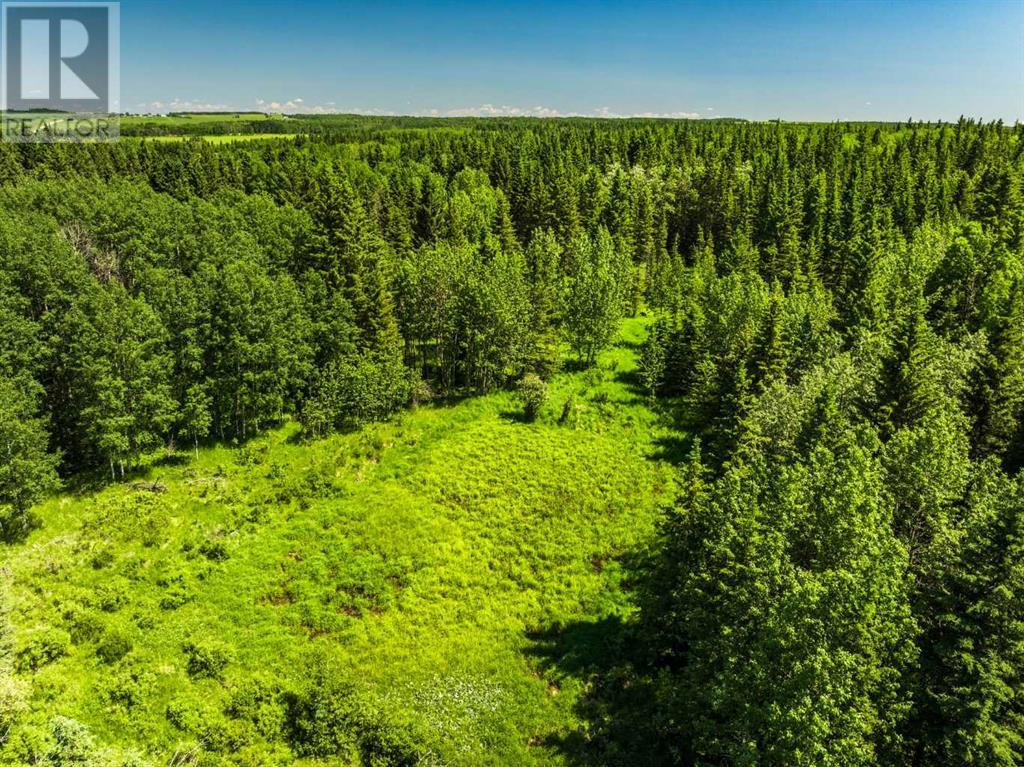 Water Valley, Rural Mountain View County, Alberta  T0M 2E0 - Photo 11 - A2183073