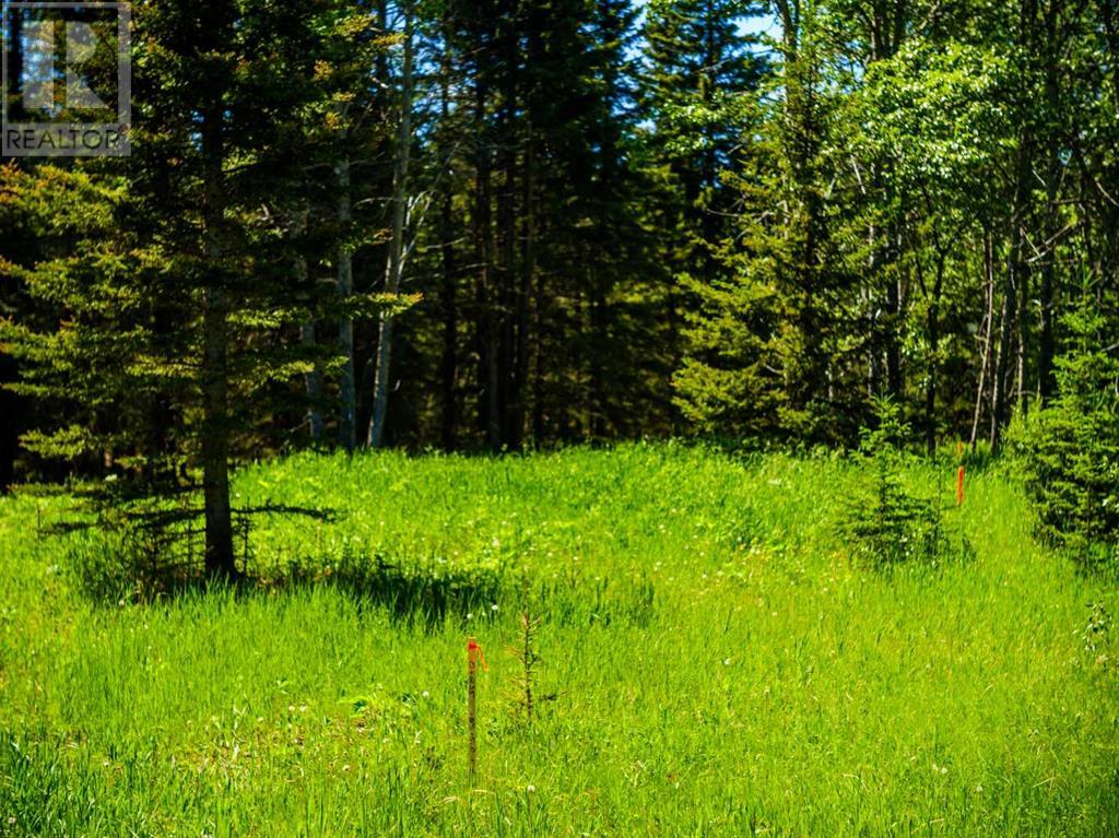 Water Valley, Rural Mountain View County, Alberta  T0M 2E0 - Photo 25 - A2183073