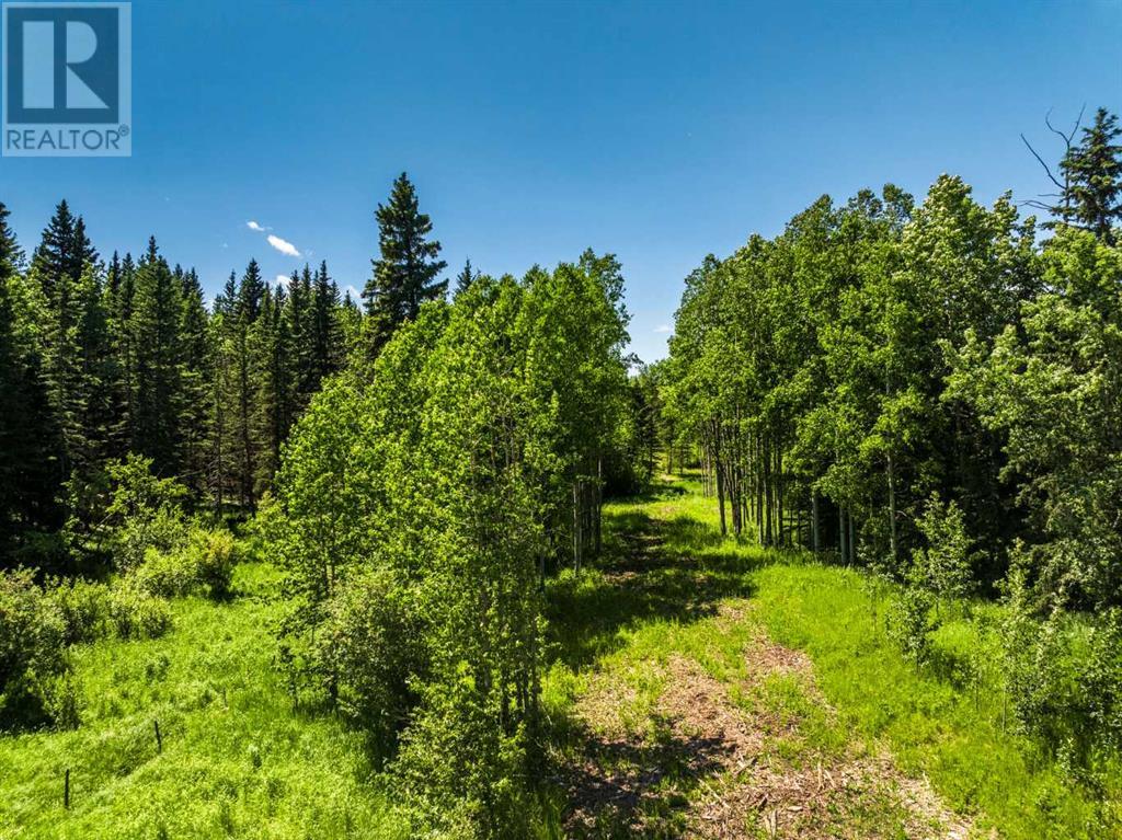 Water Valley, Rural Mountain View County, Alberta  T0M 2E0 - Photo 33 - A2183073