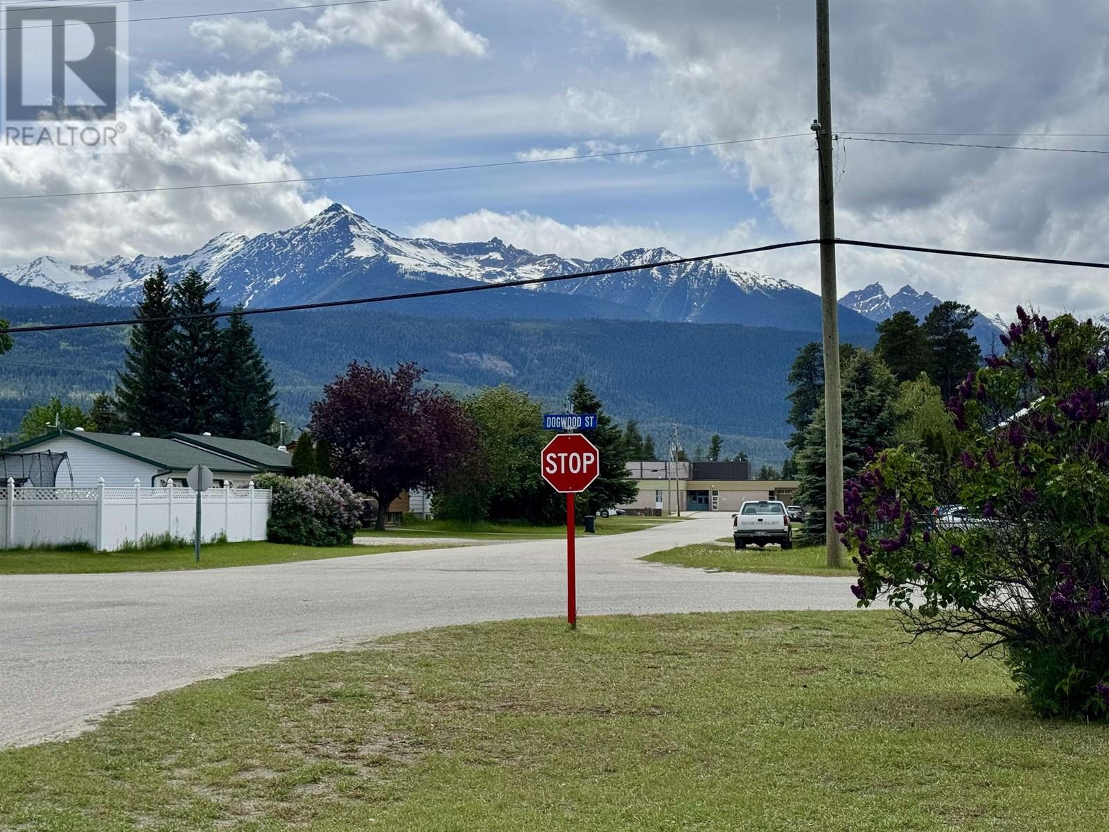 1290 8th Avenue, Valemount, British Columbia  V0E 2Z0 - Photo 38 - R3012440