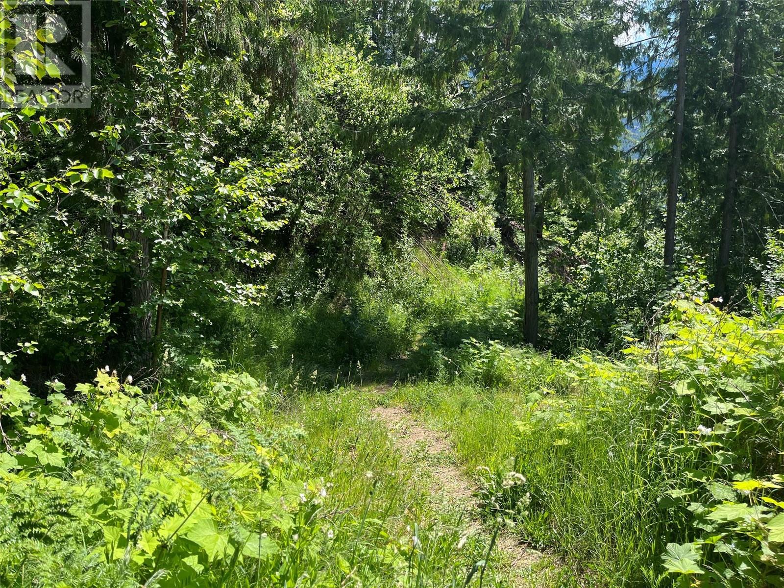 242 9th Street, Kaslo, British Columbia  V0G 1M0 - Photo 24 - 10350911