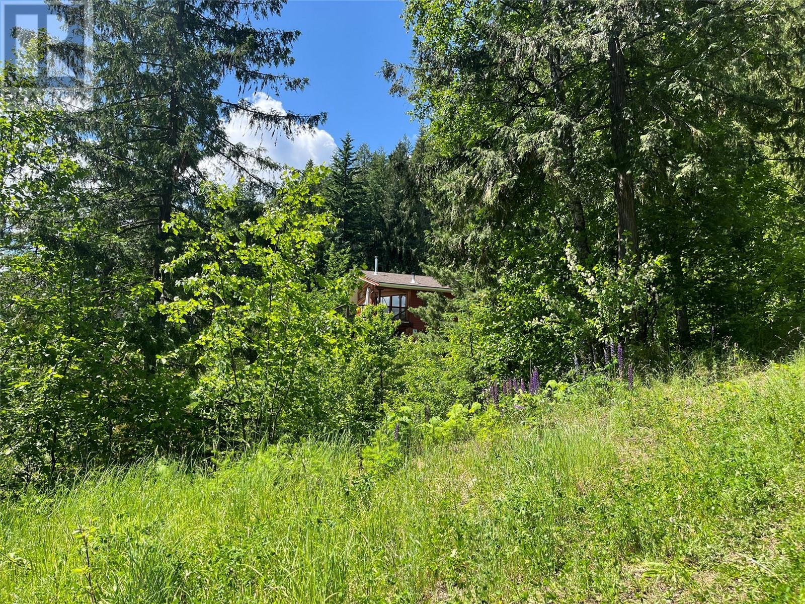 242 9th Street, Kaslo, British Columbia  V0G 1M0 - Photo 37 - 10350911