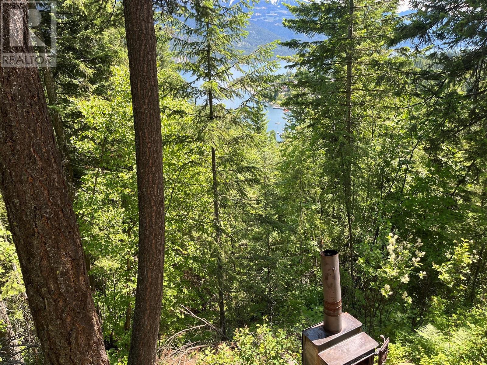242 9th Street, Kaslo, British Columbia  V0G 1M0 - Photo 43 - 10350911