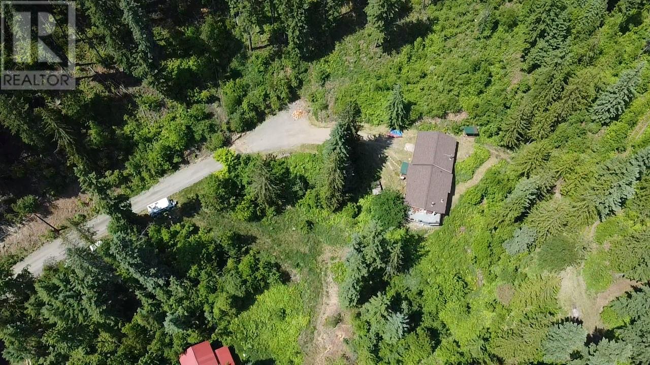 242 9th Street, Kaslo, British Columbia  V0G 1M0 - Photo 68 - 10350911