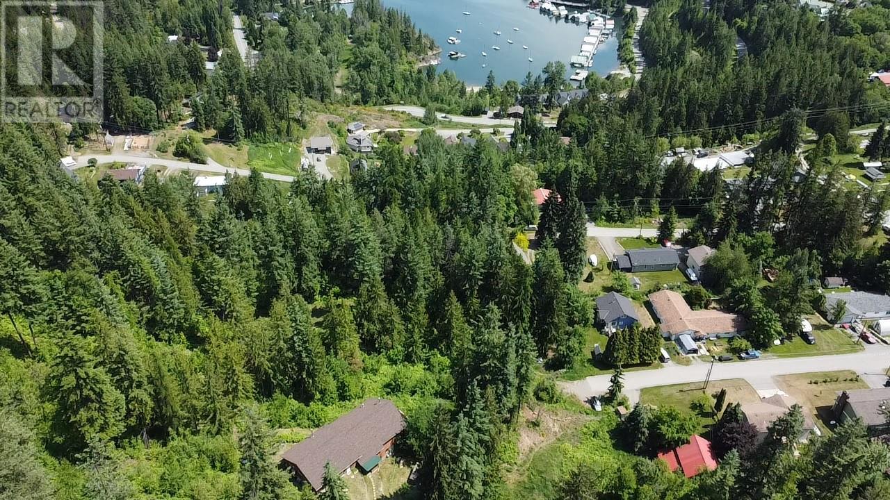 242 9th Street, Kaslo, British Columbia  V0G 1M0 - Photo 64 - 10350911