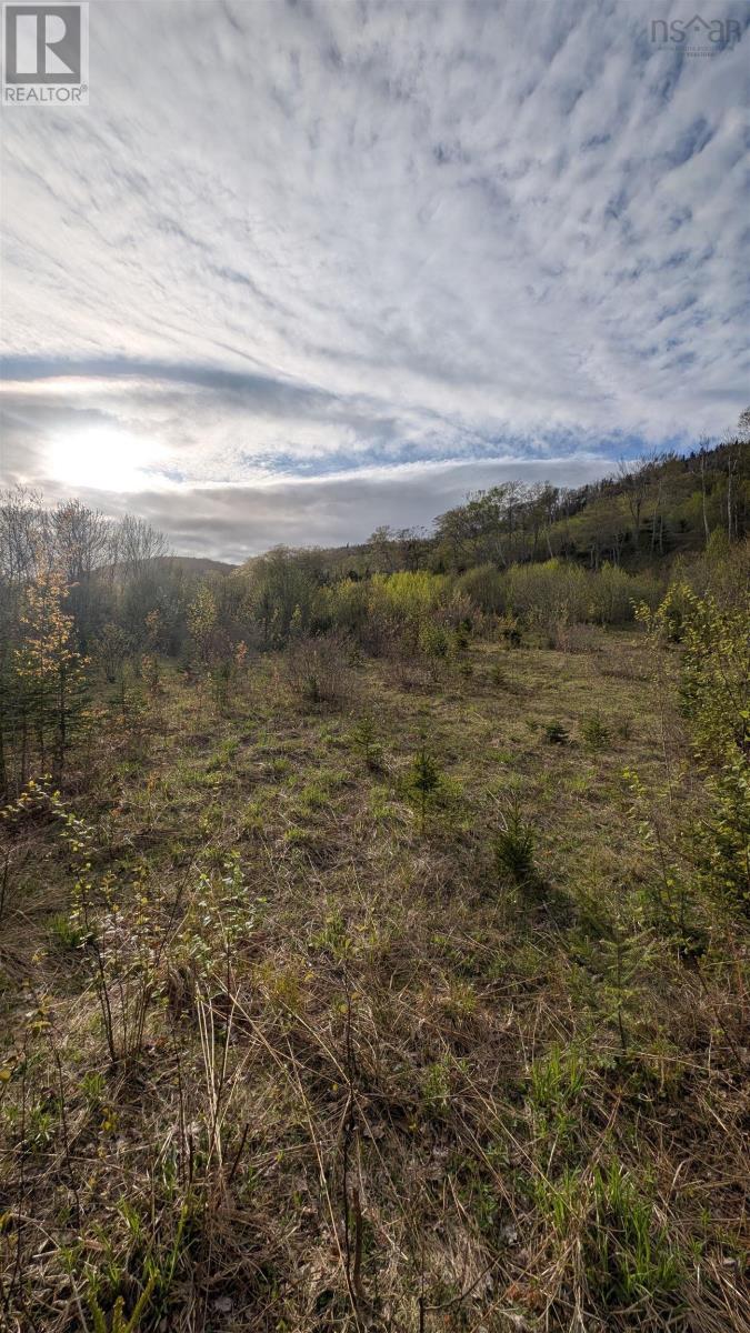 Marble Mountain Road, Lime Hill, Nova Scotia  B0E 3K0 - Photo 20 - 202513838