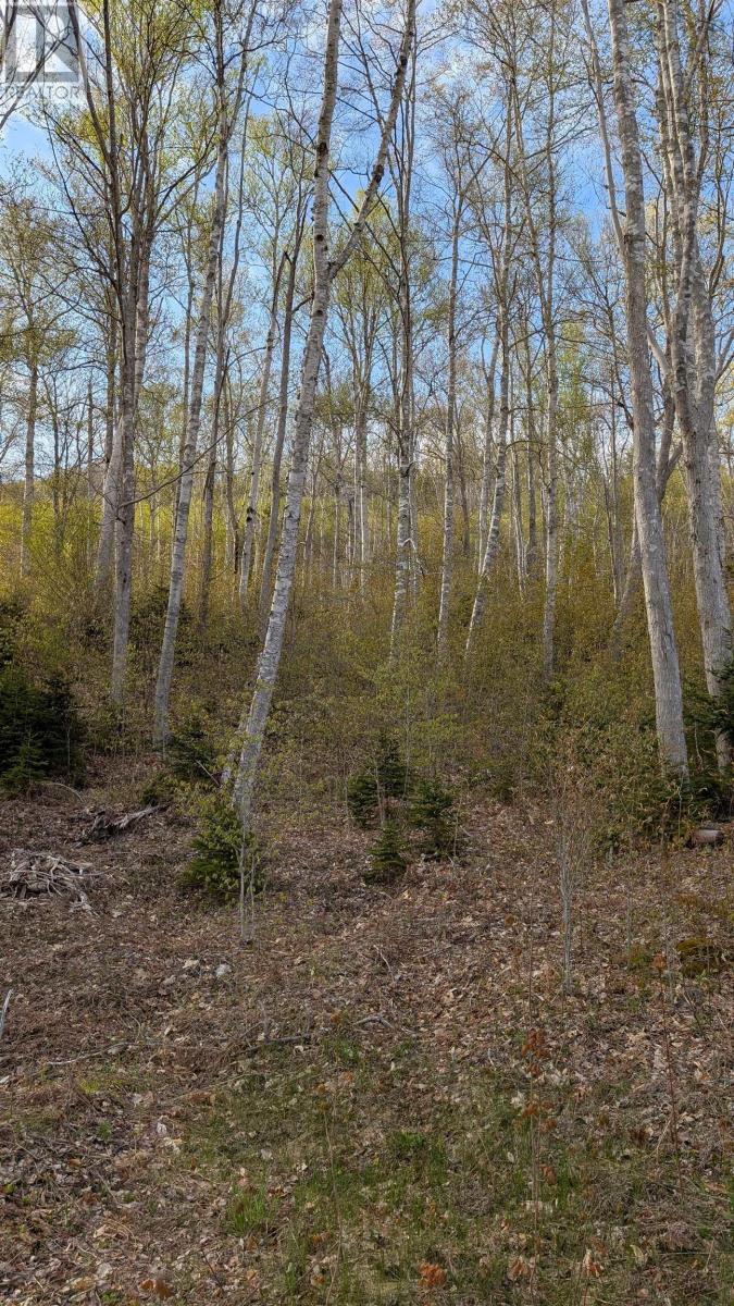 Marble Mountain Road, Lime Hill, Nova Scotia  B0E 3K0 - Photo 13 - 202513838
