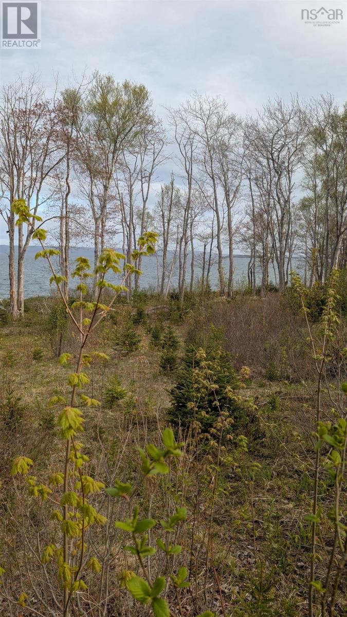 Marble Mountain Road, Lime Hill, Nova Scotia  B0E 3K0 - Photo 21 - 202513838