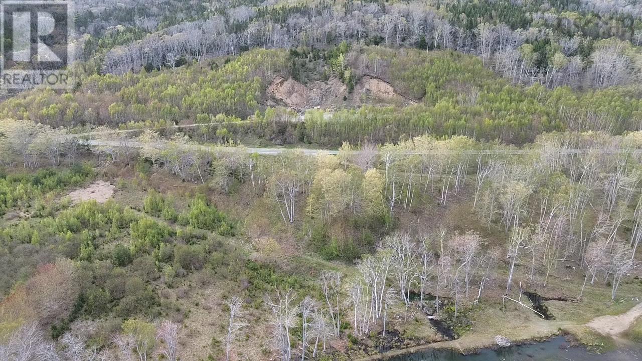 Marble Mountain Road, Lime Hill, Nova Scotia  B0E 3K0 - Photo 6 - 202513838