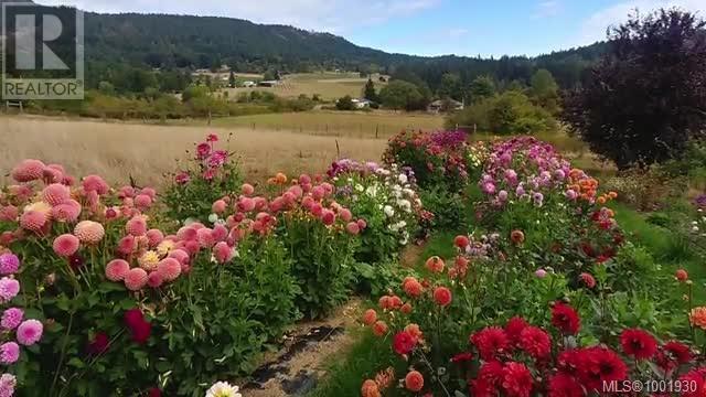 181 Furness Rd, Salt Spring, British Columbia  V8K 1Z7 - Photo 58 - 1001930