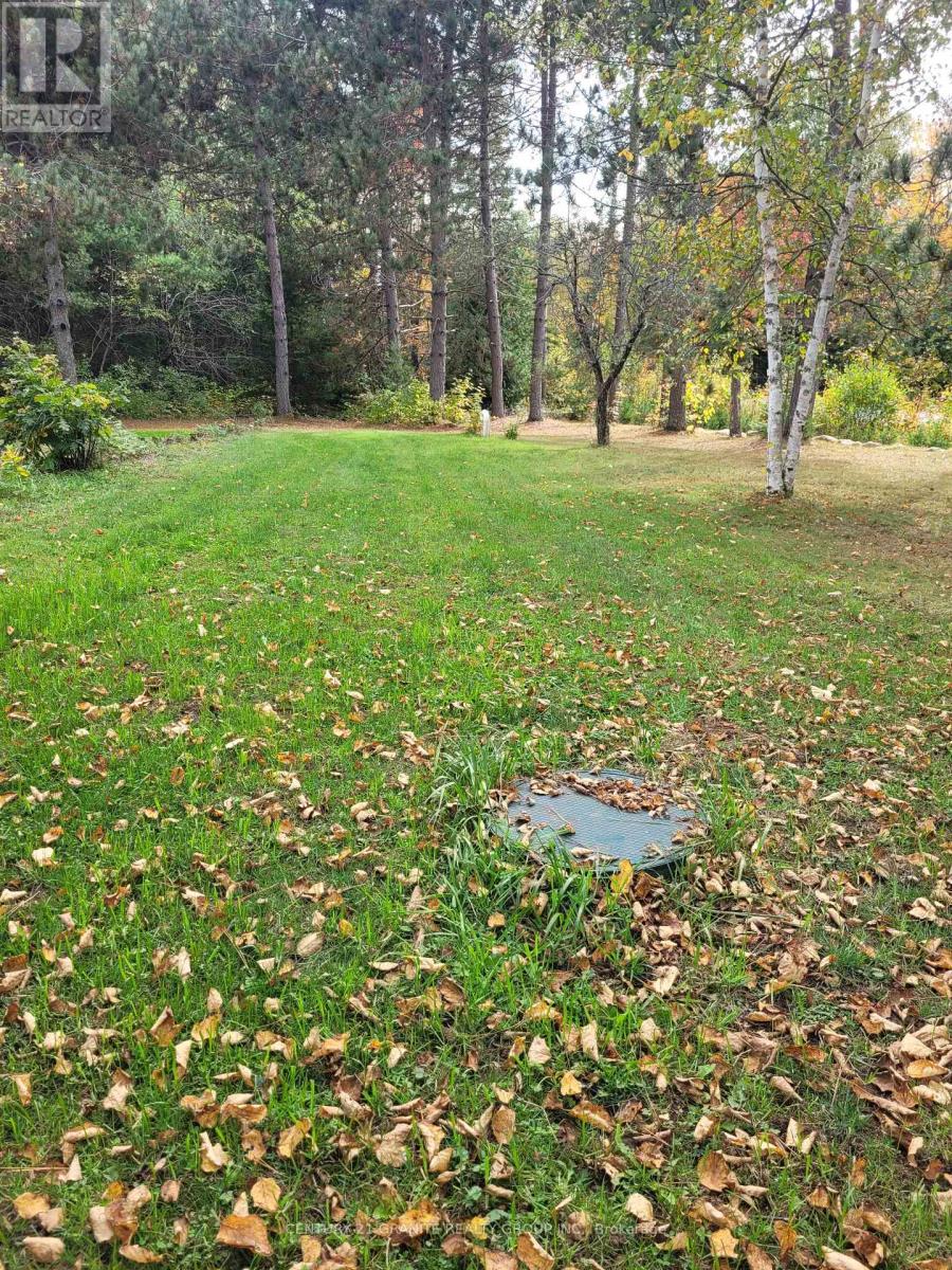 1548 Madawaska Road, Hastings Highlands, Ontario  K0L 2K0 - Photo 32 - X12088552