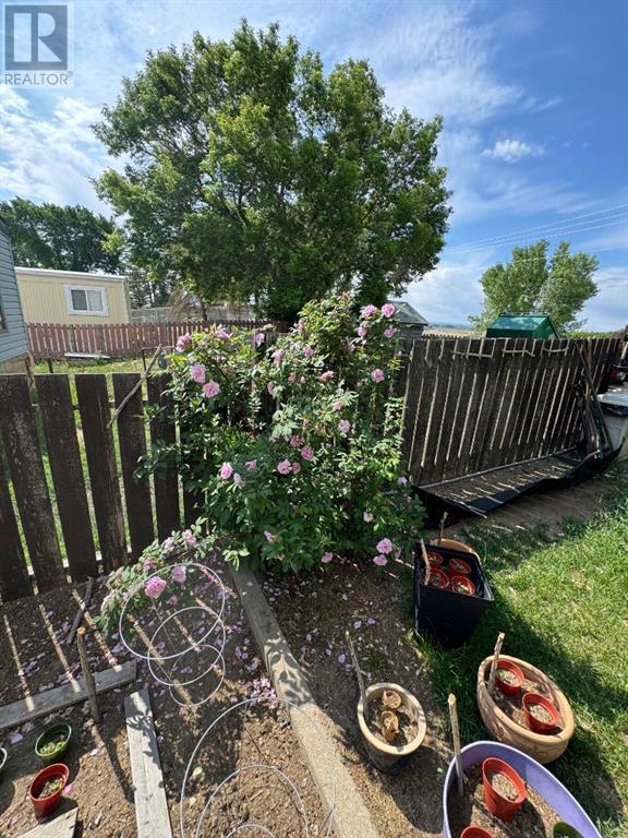 317 Fleet Street Sw, Medicine Hat, Alberta  T1A 7Z4 - Photo 21 - A2227561