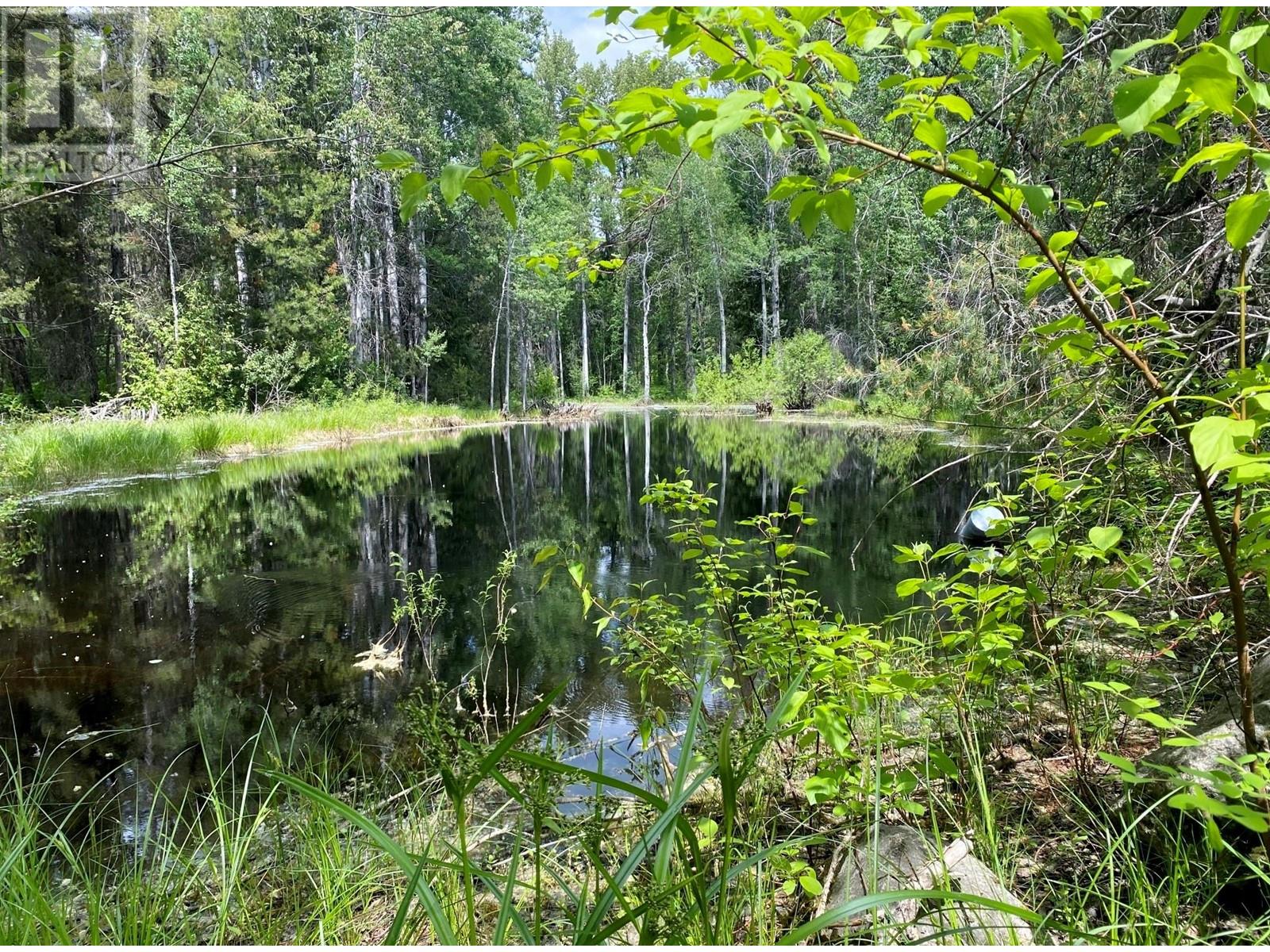 19300 North Fork Road, Grand Forks, British Columbia  V0H 1H1 - Photo 13 - 10351066