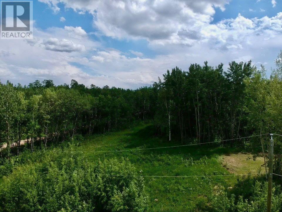 86, 50228 Range Road 204, Rural Beaver County, Alberta  T0B 4A0 - Photo 1 - A2228179