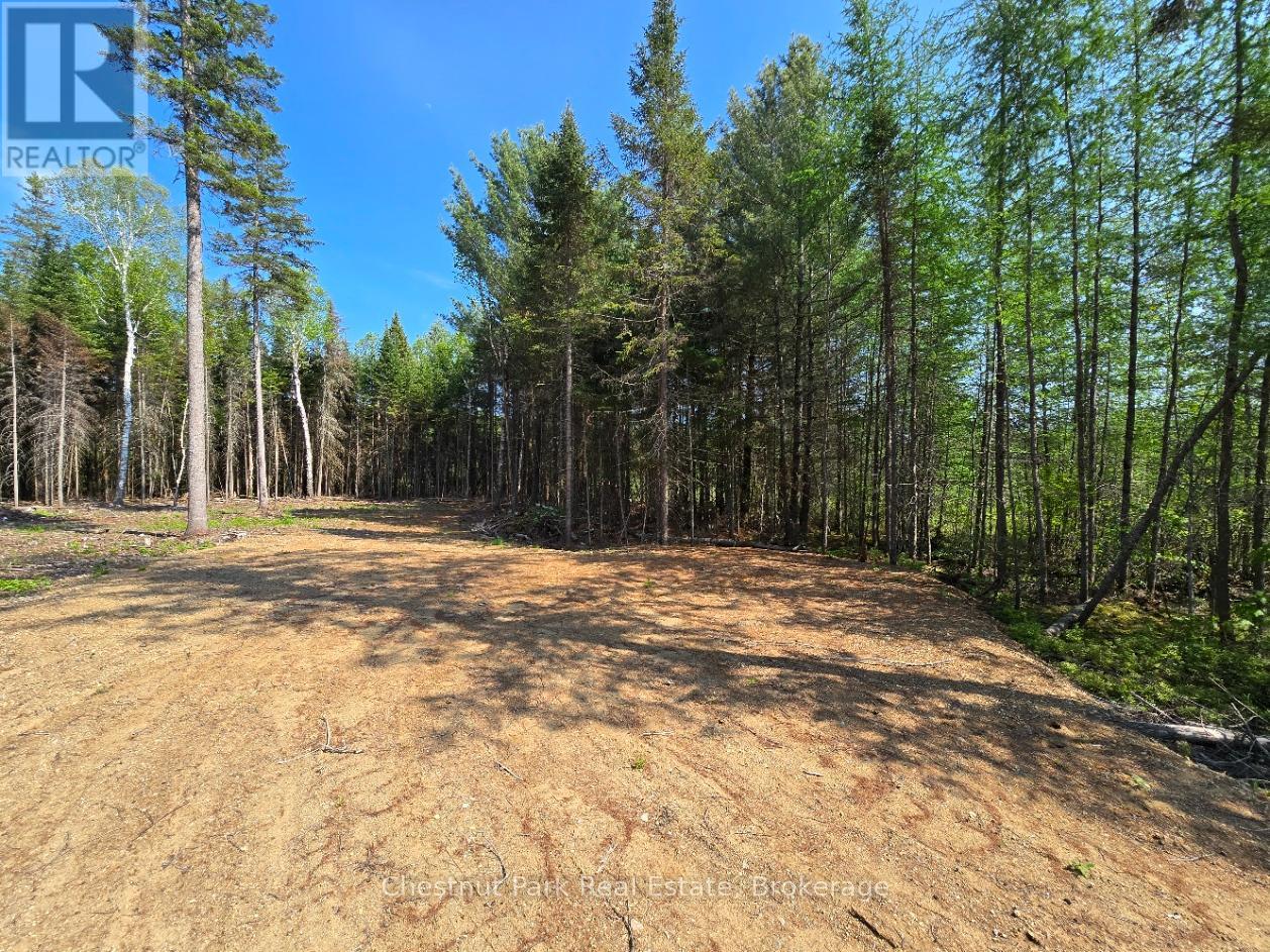 0 Stoneway Road, Kearney, Ontario  P0A 1M0 - Photo 24 - X12204745