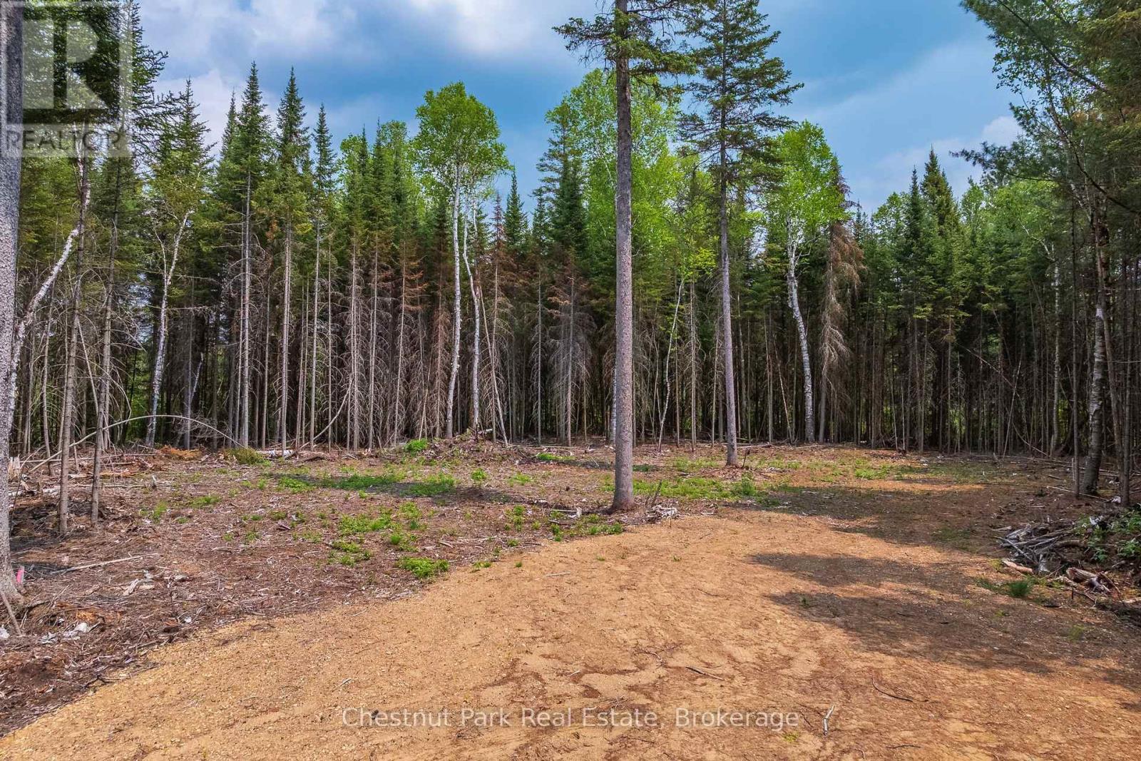 0 Stoneway Road, Kearney, Ontario  P0A 1M0 - Photo 6 - X12204745