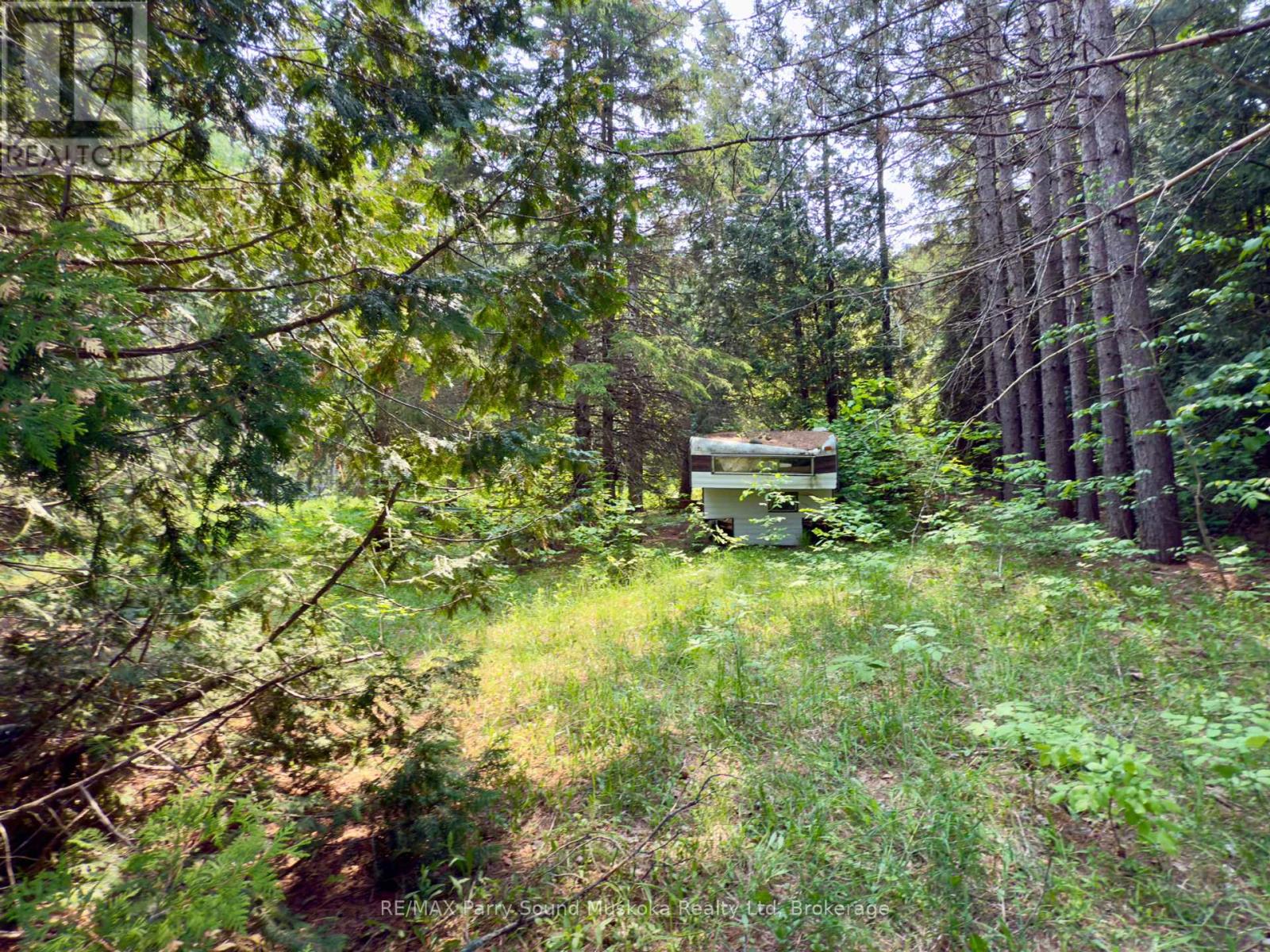 1735 124 Highway, Whitestone, Ontario  P0A 1G0 - Photo 4 - X12202398