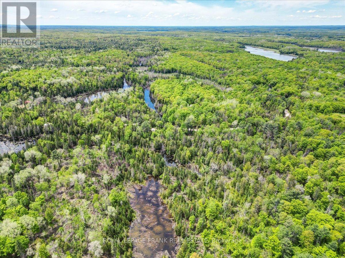 3459 Old Hastings Road, Limerick, Ontario  K0L 1W0 - Photo 31 - X12204898