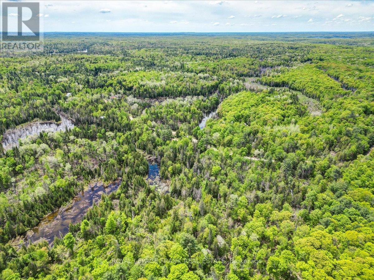 3459 Old Hastings Road, Limerick, Ontario  K0L 1W0 - Photo 32 - X12204898