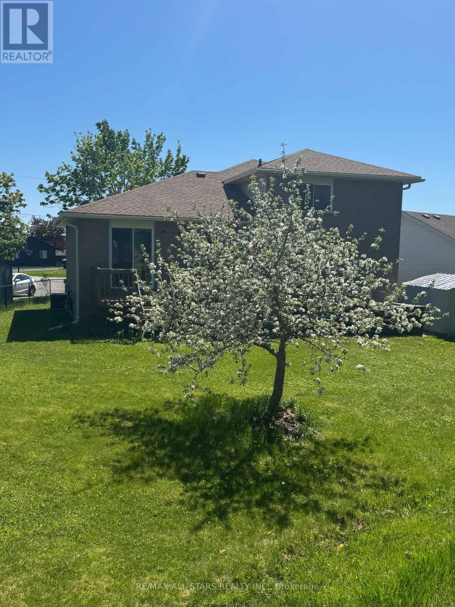 10 O'connell Court, Kawartha Lakes, Ontario  K9V 5Y1 - Photo 37 - X12144493