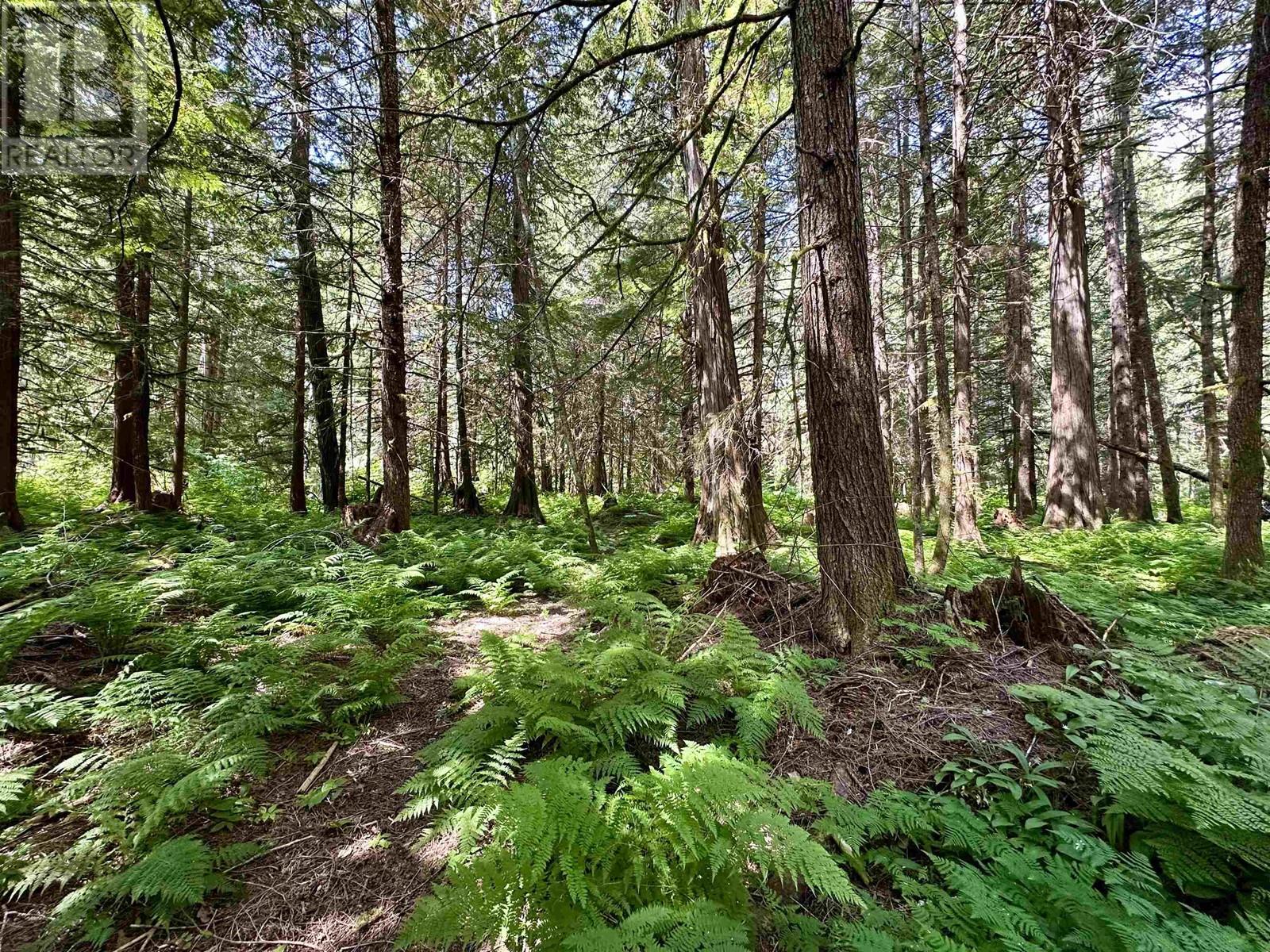 2288 Saloompt Road, Bella Coola, British Columbia  V0T 1H0 - Photo 11 - R3012498